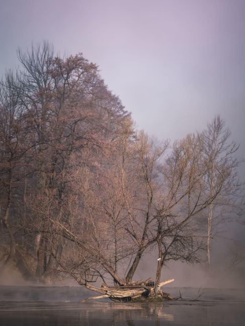 Bihać
