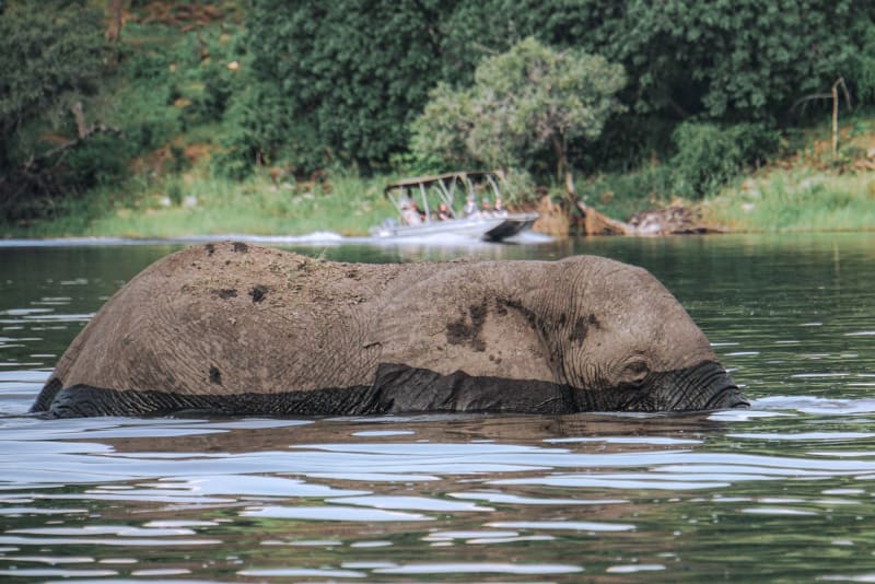 Chobe National Park