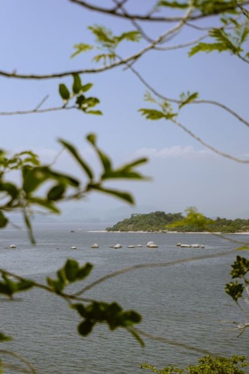 Ilha do Cardoso