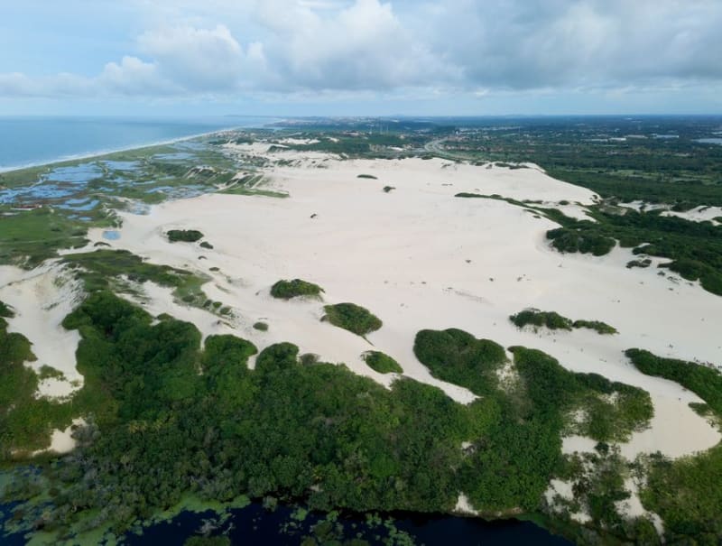 Mamirauá Reserve