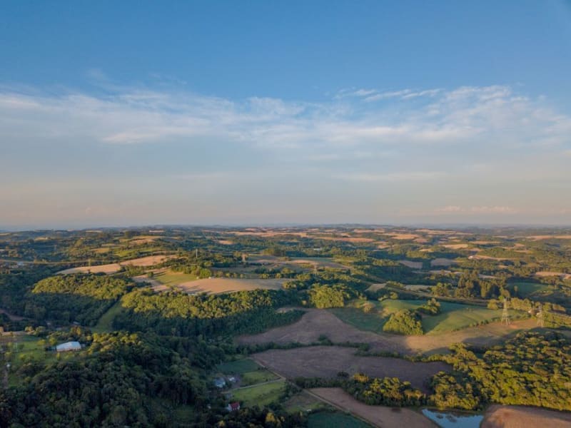 São Francisco do Sul