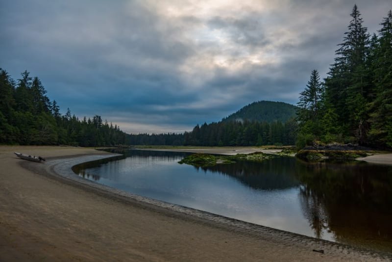 Cathedral Grove