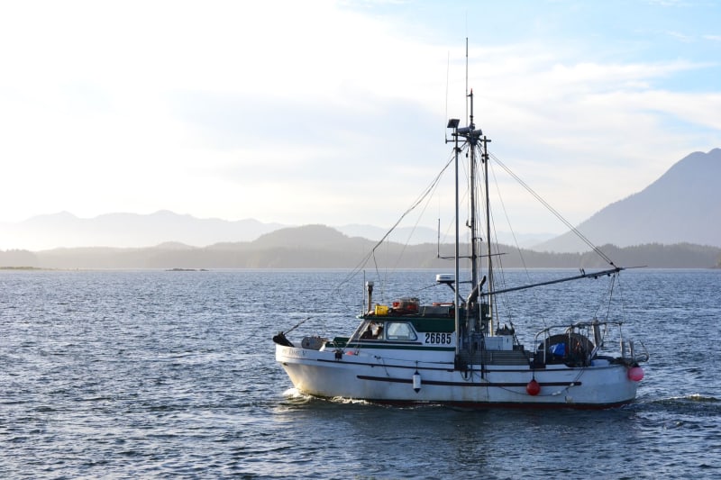 Tofino