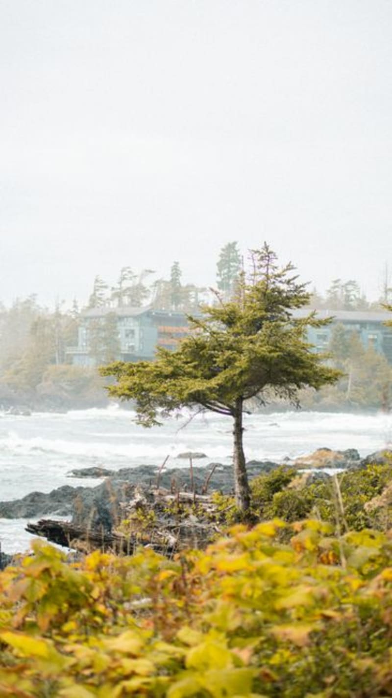 Ucluelet