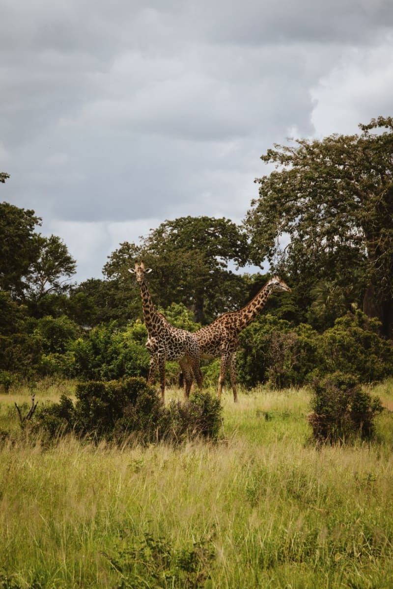 Parque Nacional de Ruvubu
