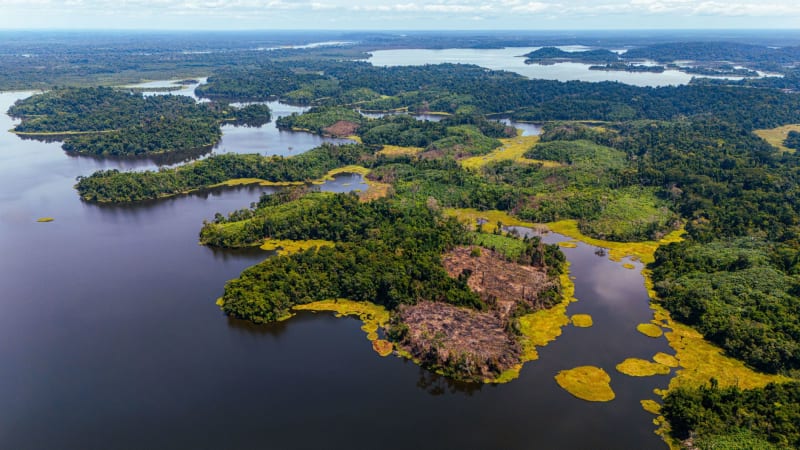 Lobéké National Park