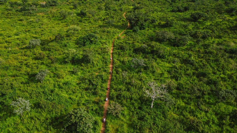Waza National Park