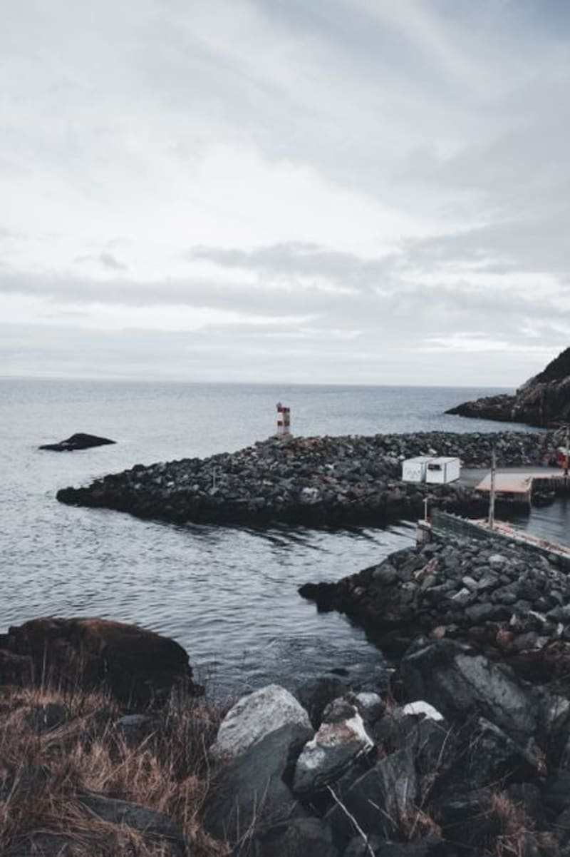 Bonavista