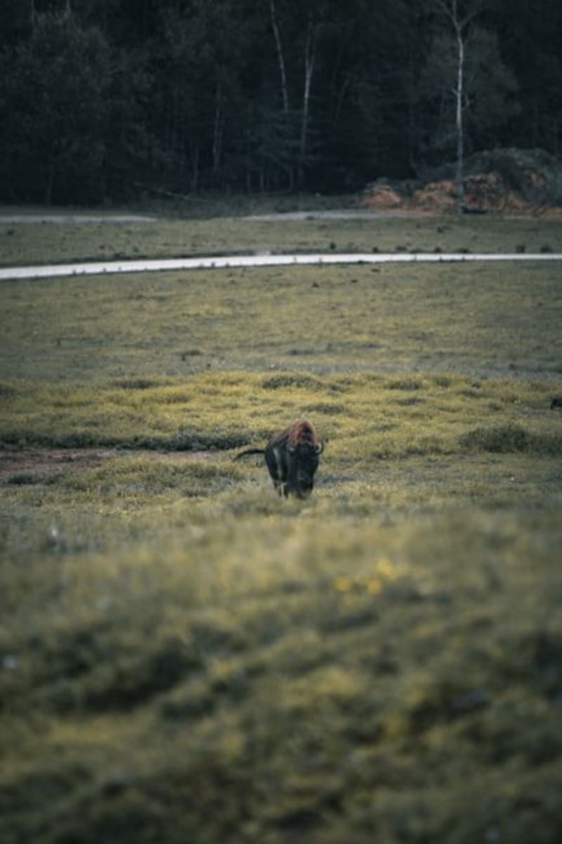 Elk Island National Park