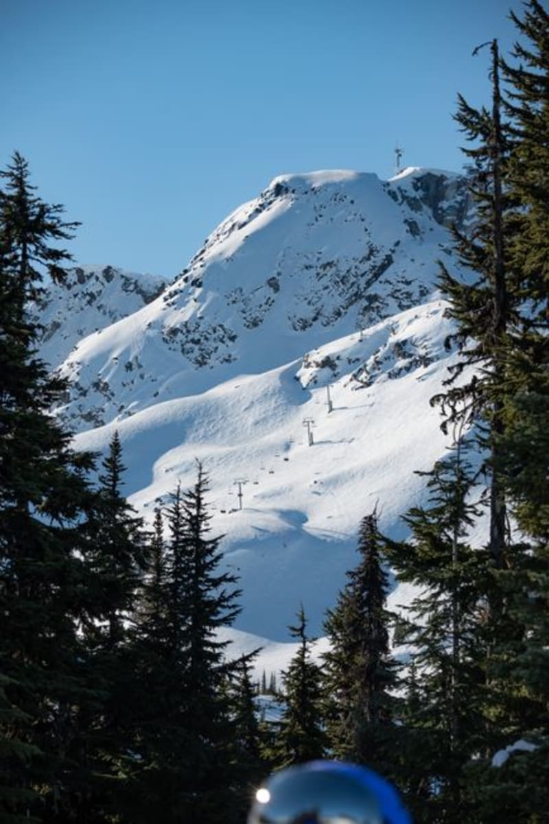 Fernie