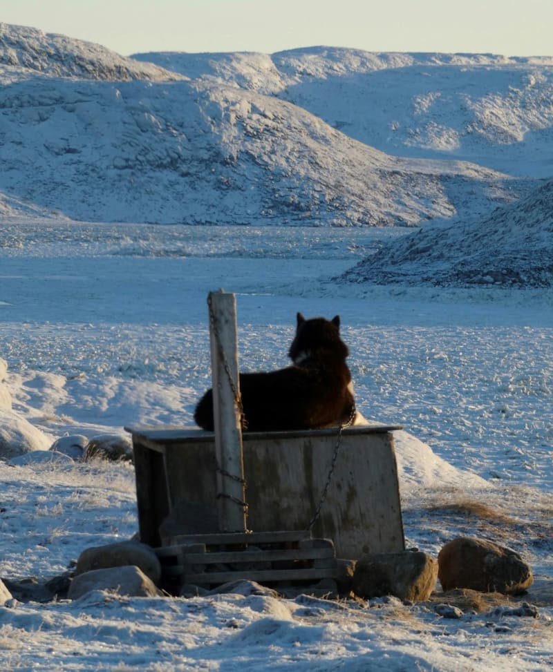 Iqaluit