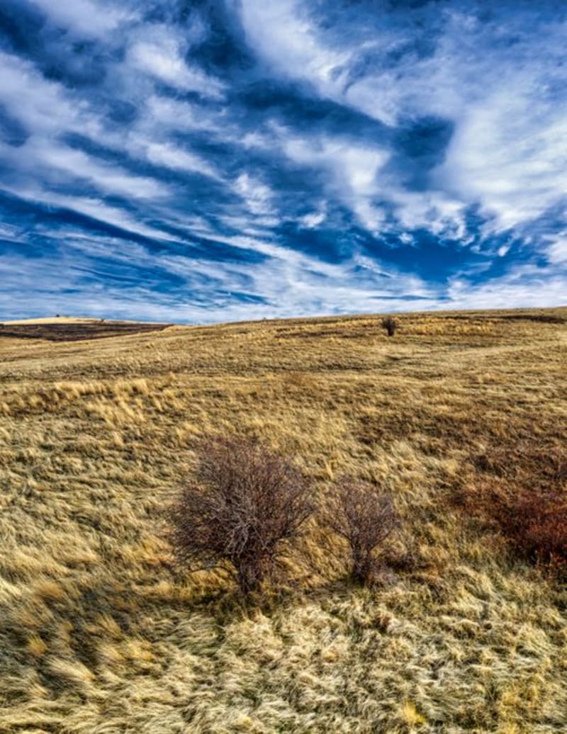 Kamloops
