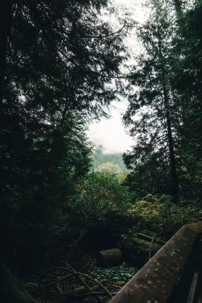 Pacific Rim National Park Reserve