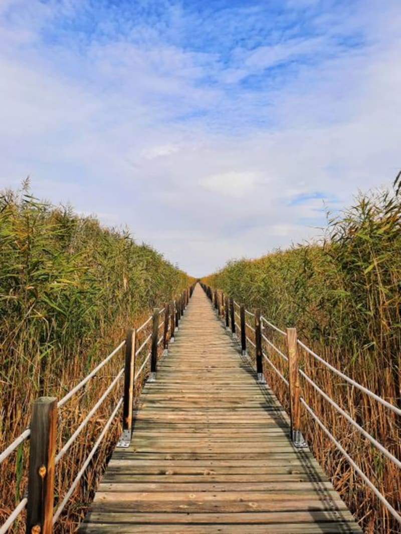 Point Pelee