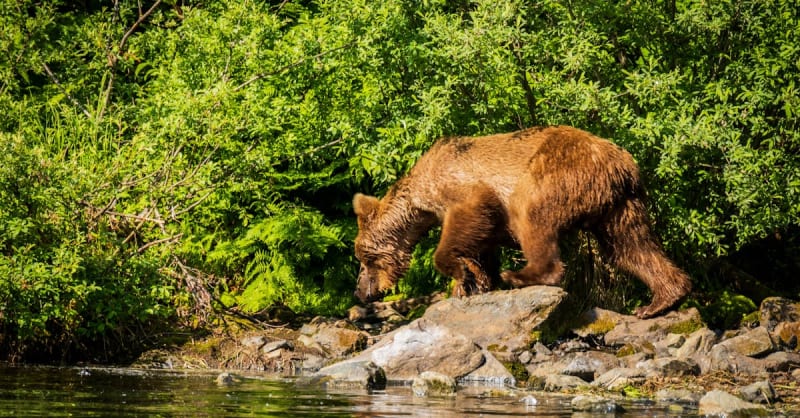 Prince Edward Island