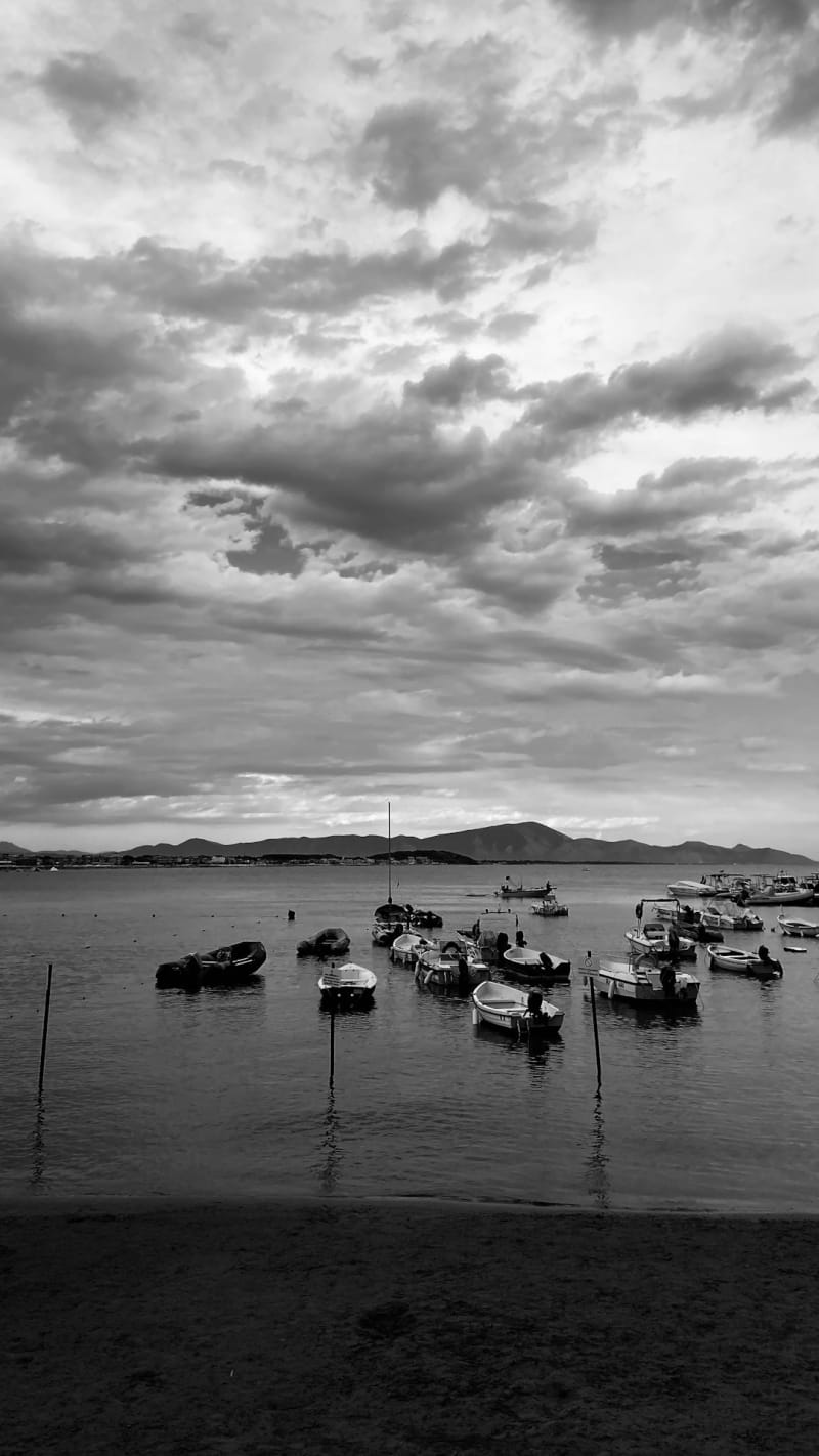 Prince Rupert
