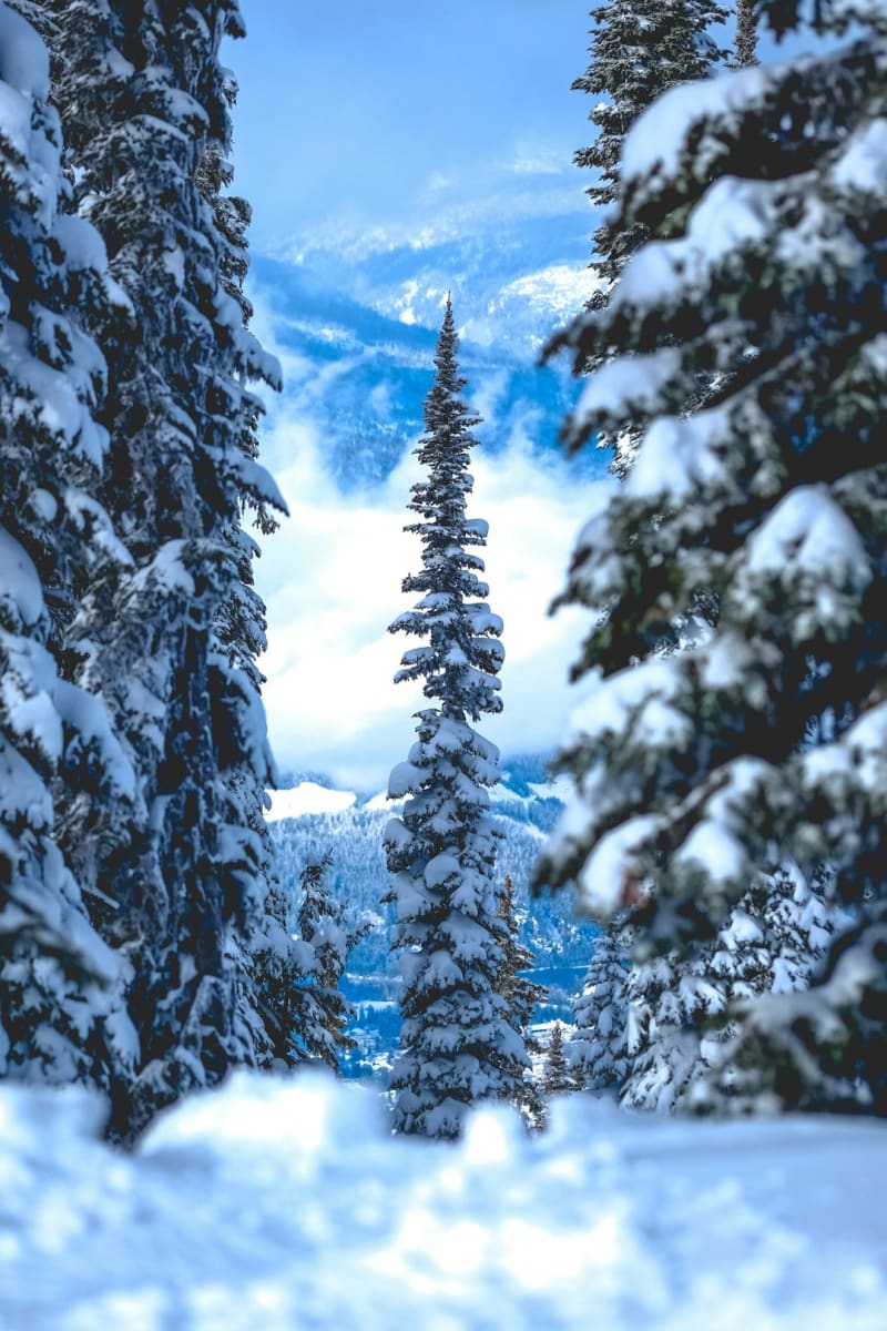Revelstoke
