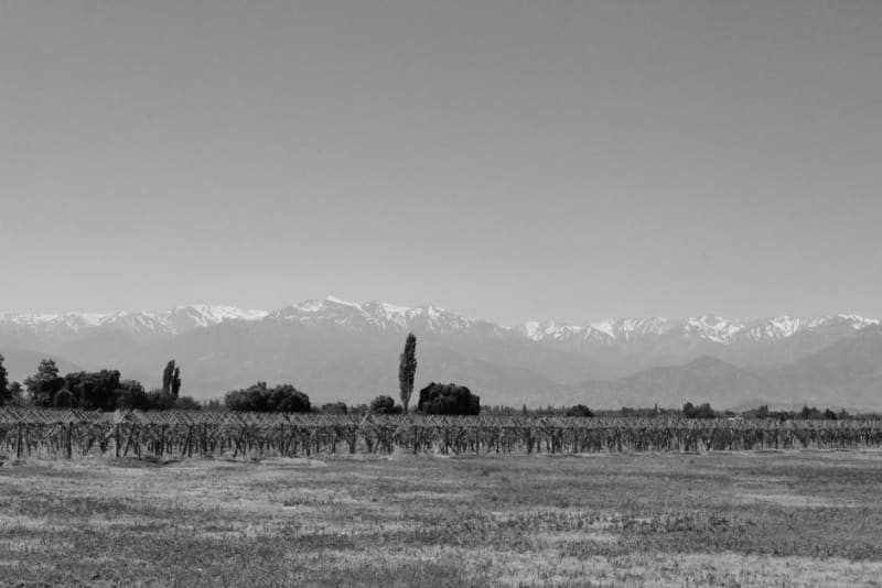 Colchagua Valley