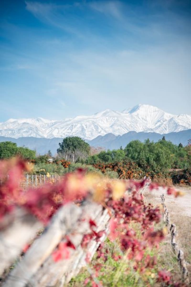Valle de Colchagua