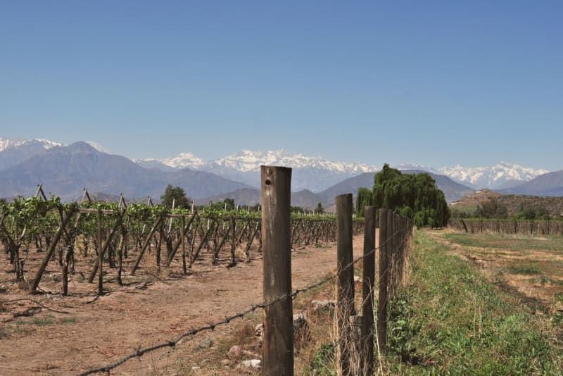Colchagua Valley