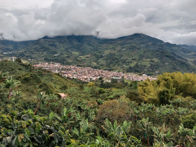 Buenavista