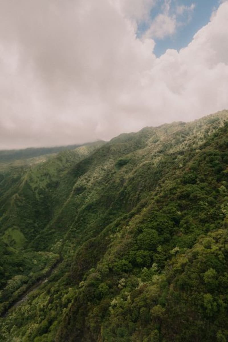 Highland Paradise