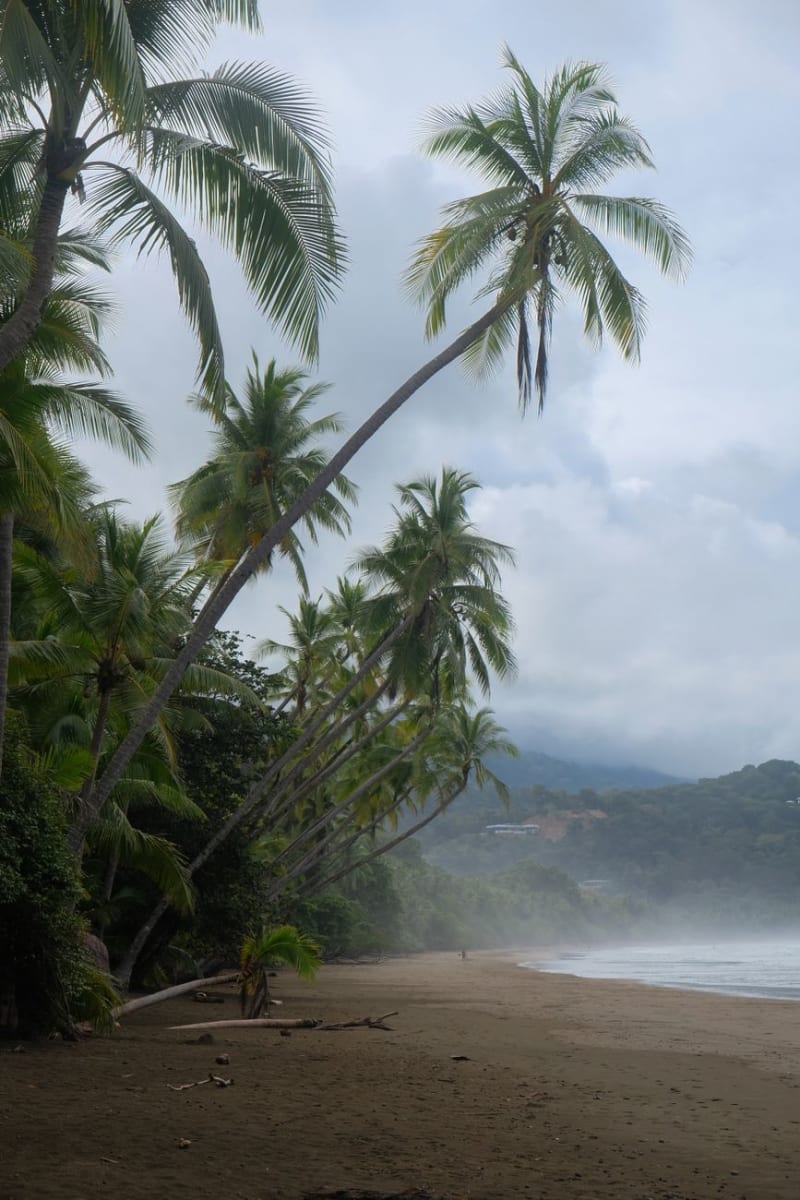 Province de Limón