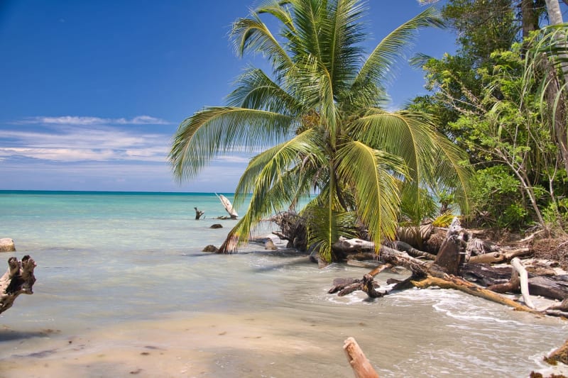 Limón Province
