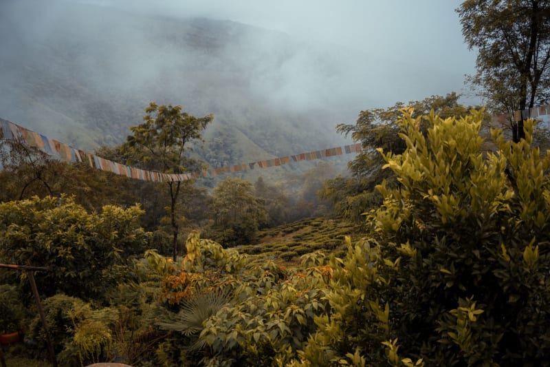 Sandakphu