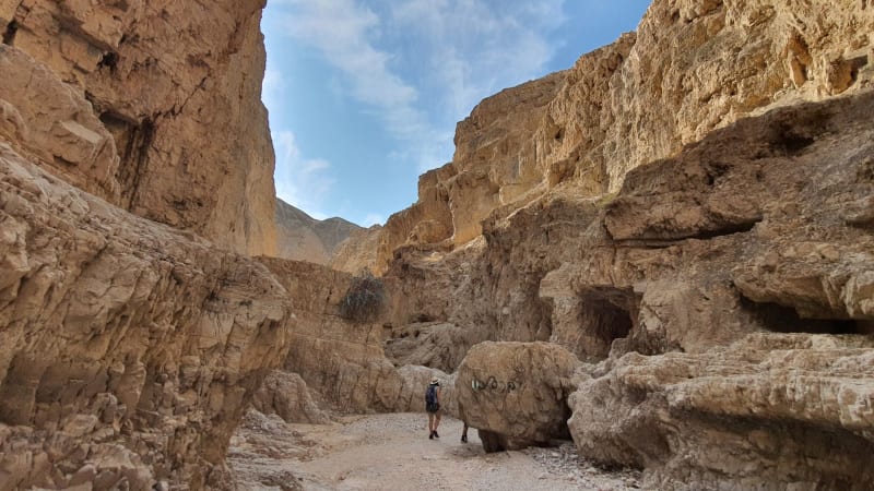 Ein Gedi