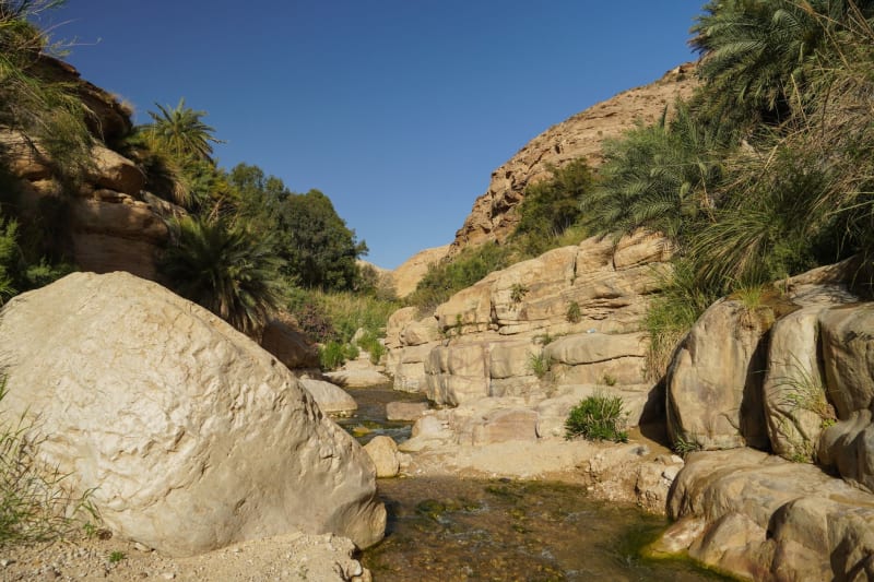 Karak