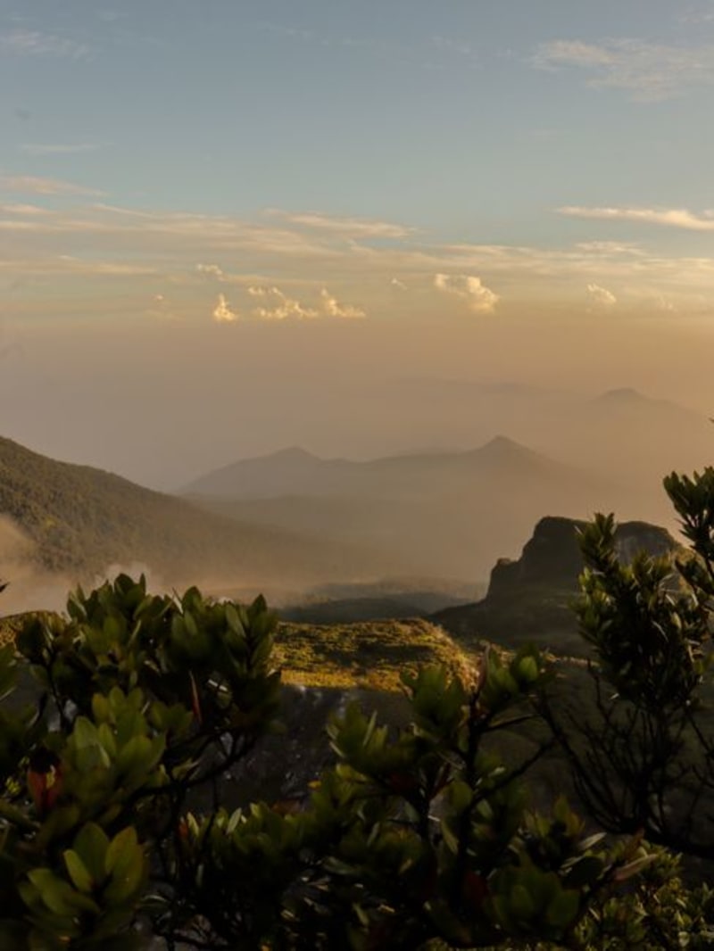 Parc National de Morne Diablotin
