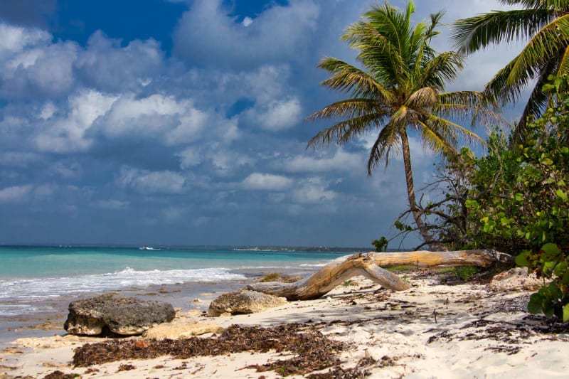 Bahía de las Águilas