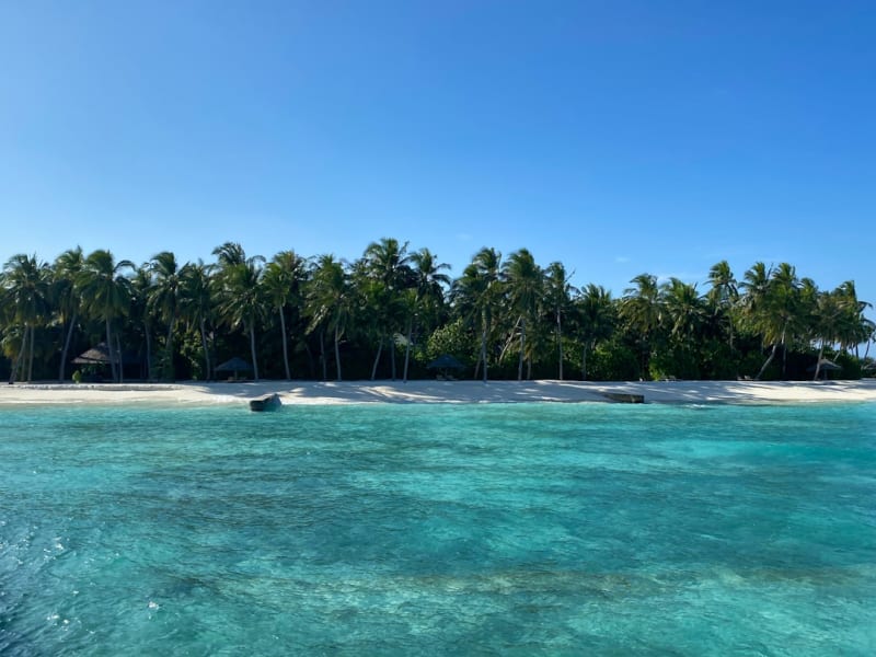 Isla Saona