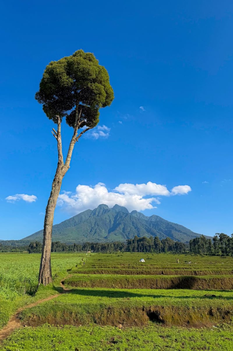 Monte Nyiragongo