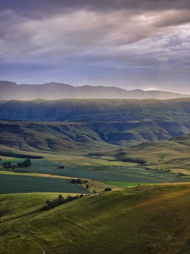 Underberg