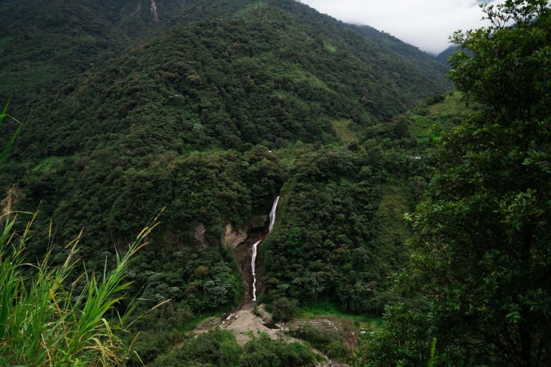 Bosque Nuboso de Mindo