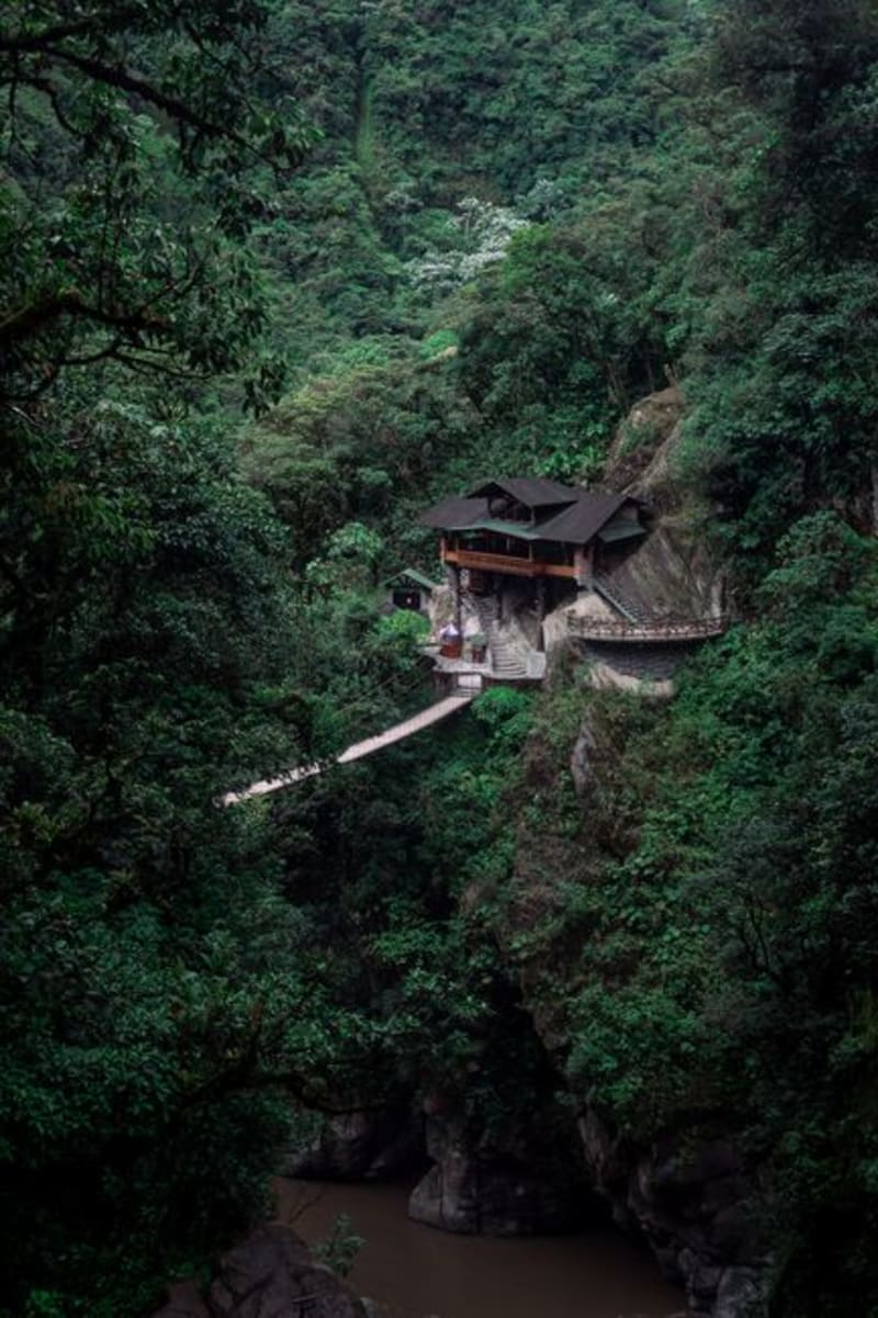 Podocarpus National Park