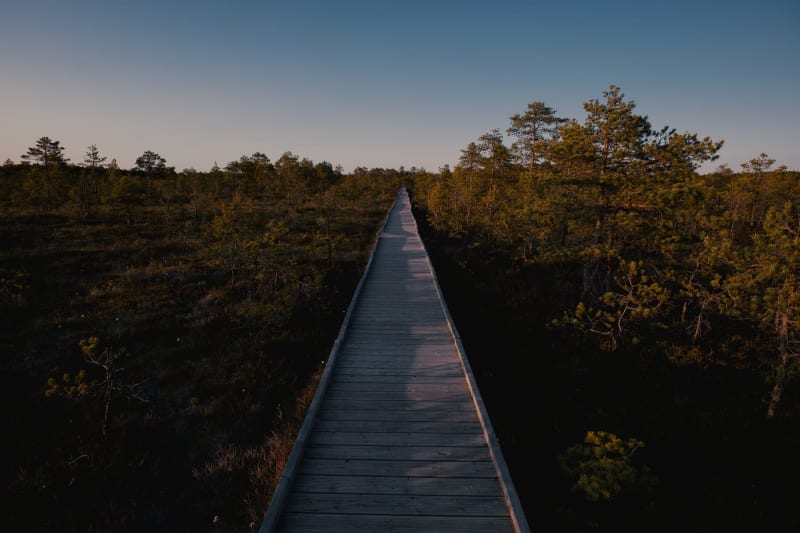 Parque Nacional Soomaa