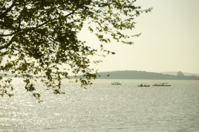 Lake Tana
