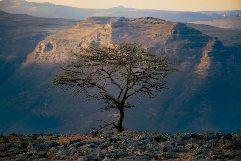 Montañas Simien