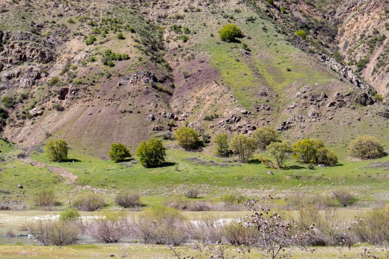 Andijan