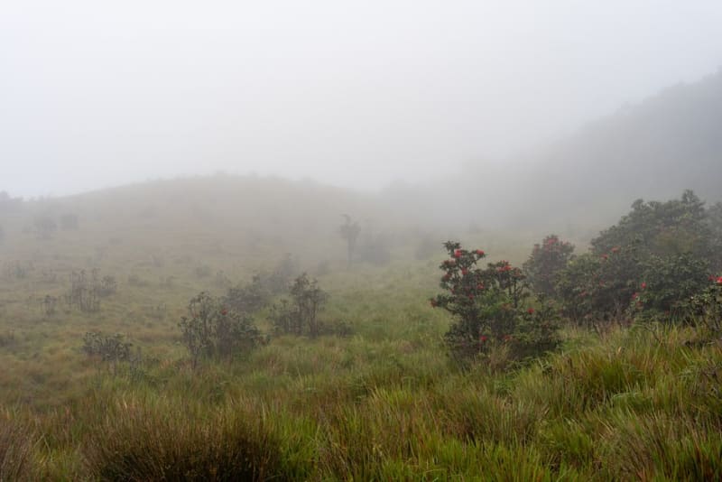 Hautes Terres de Namosi