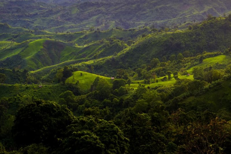 Vallée de Sigatoka
