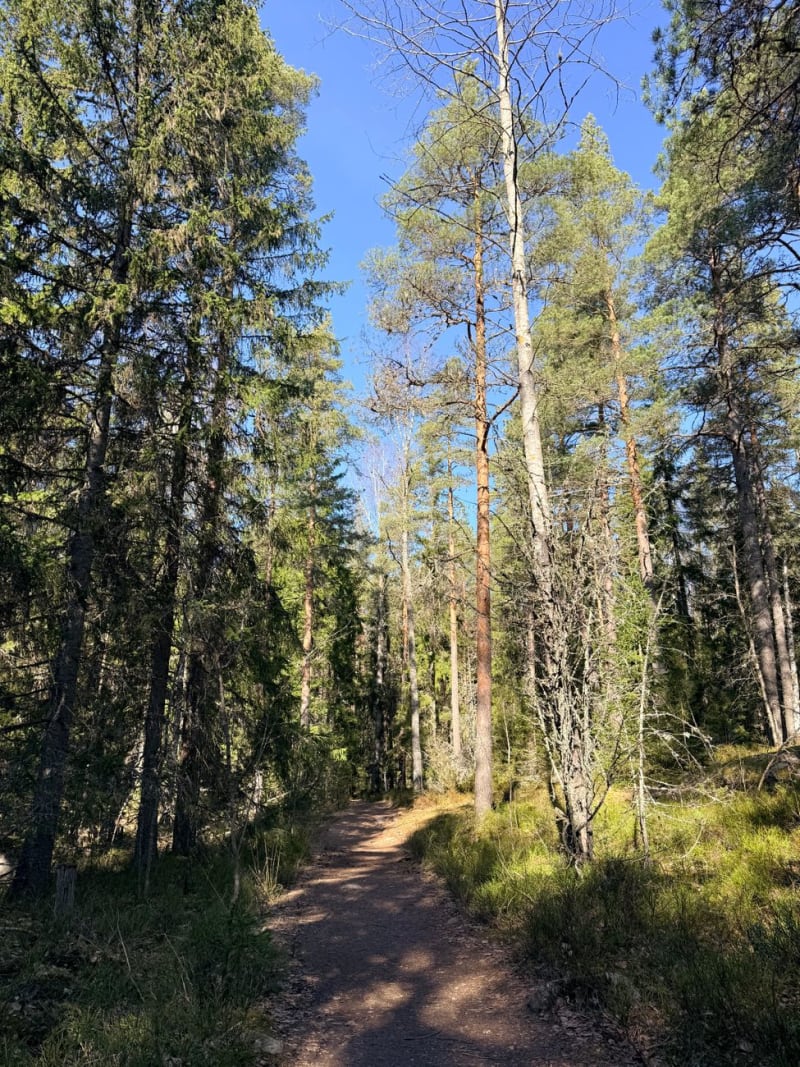 Koli National Park