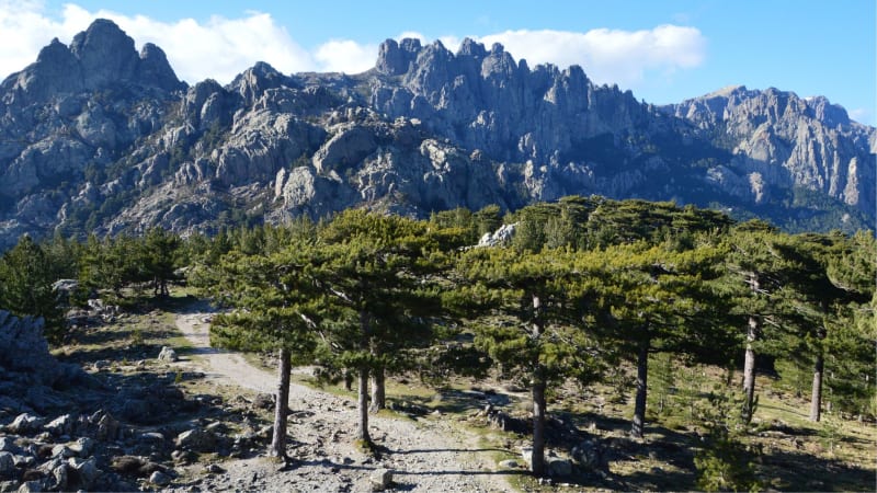 Aiguilles de Bavella