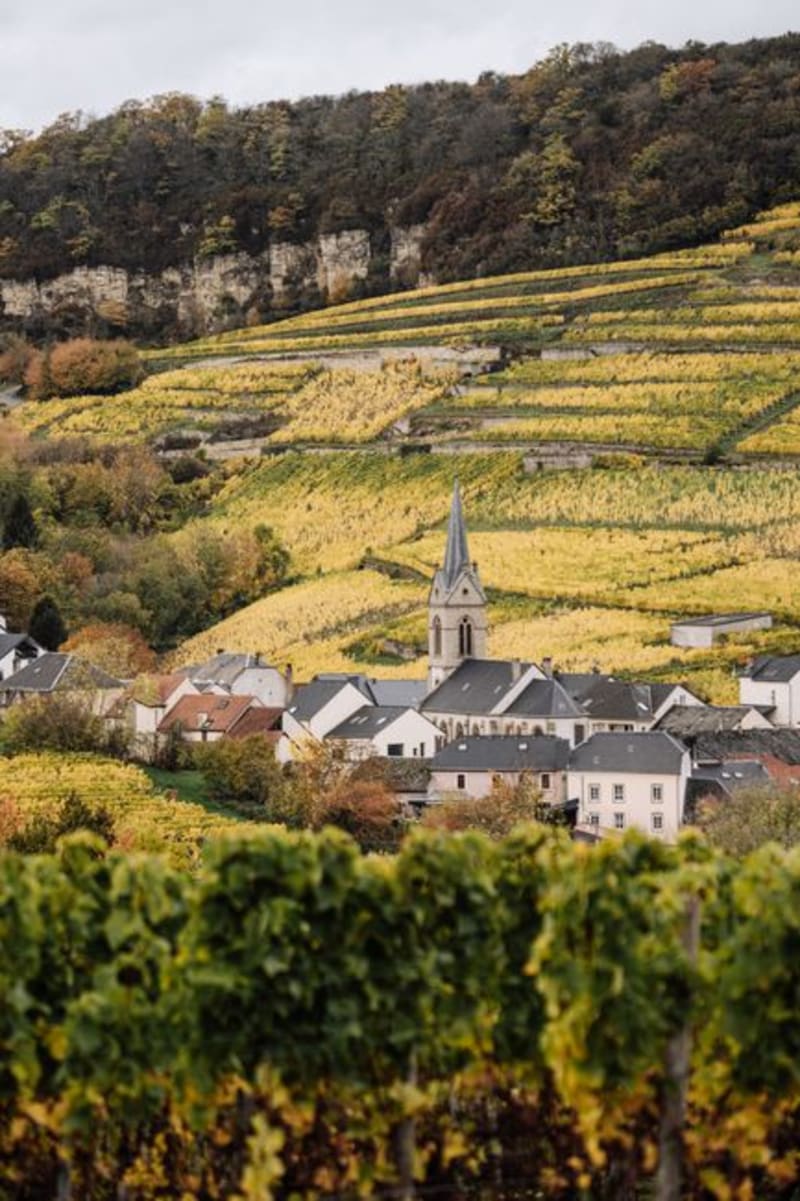 Chablis