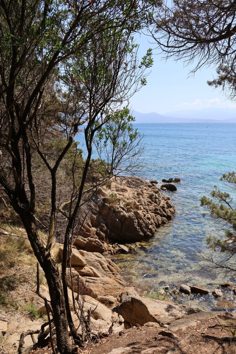 Scandola Nature Reserve