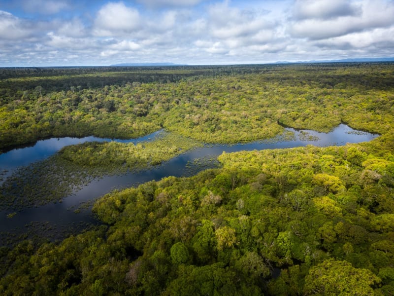 Kaw Marshes