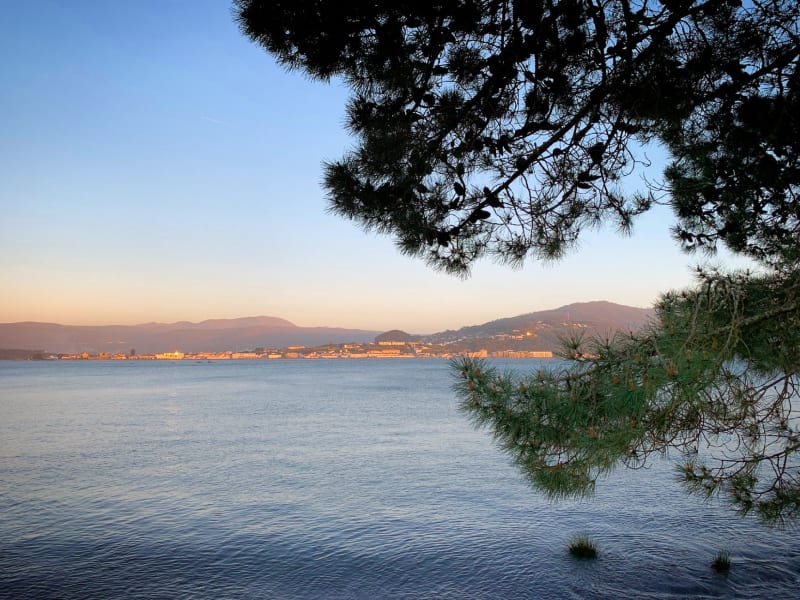 Pontevedra